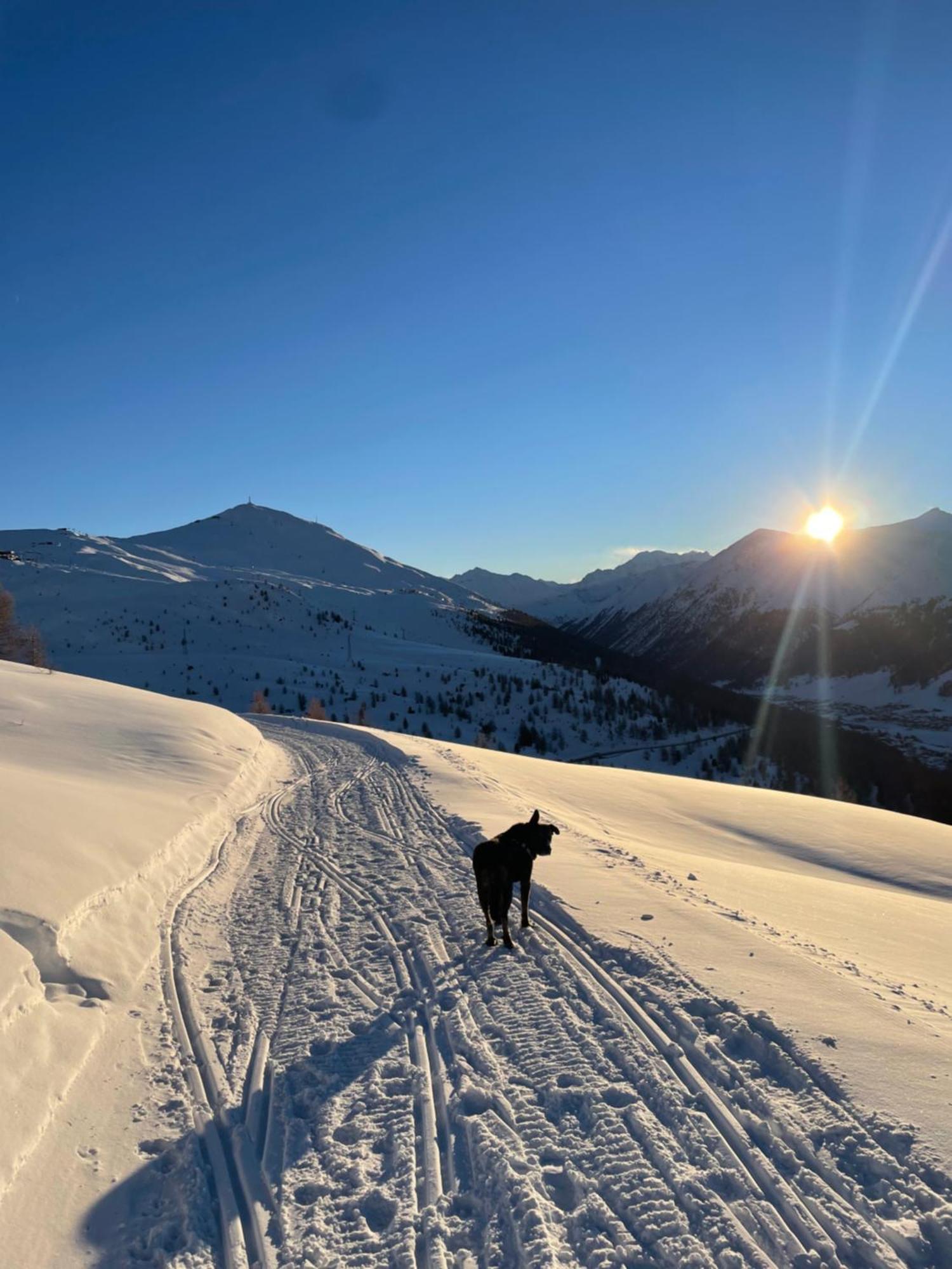 Residence S Lucia - Appartamenti Alle Porte Di Bormio Валдисото Екстериор снимка