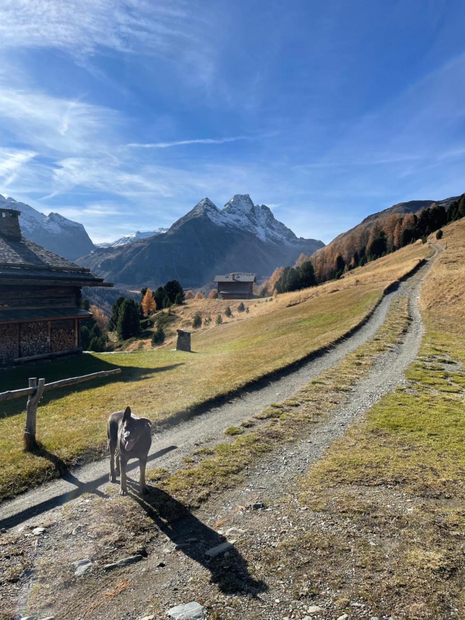 Residence S Lucia - Appartamenti Alle Porte Di Bormio Валдисото Екстериор снимка